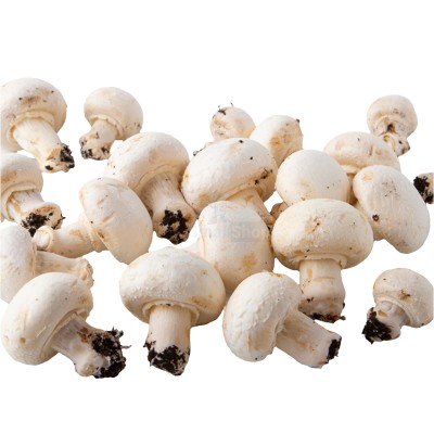 Шампиньоны свежие 500 г - купить в Абдулнасырово